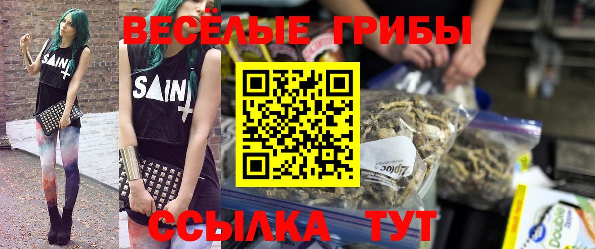 Псилоцибиновые грибы Psilocybe Железногорск