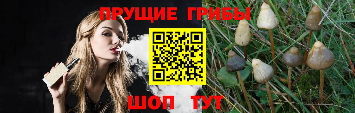 Железногорск  Галлюциногенные грибы MAGIC MUSHROOMS  Галлюциногенные грибы MAGIC MUSHROOMS  Вход с VPN 